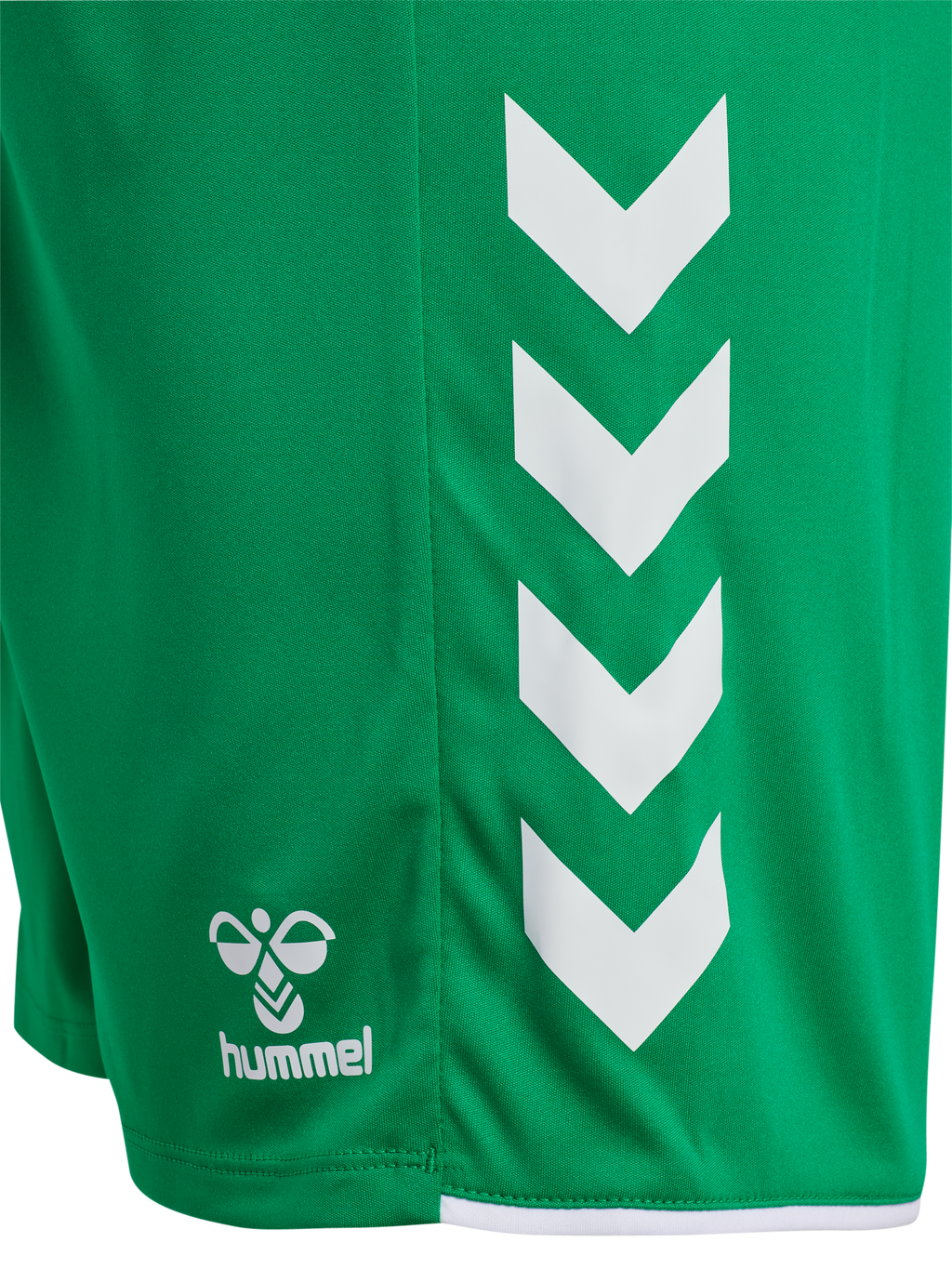 AOJ – Goalkeeper Game Shorts (Green)