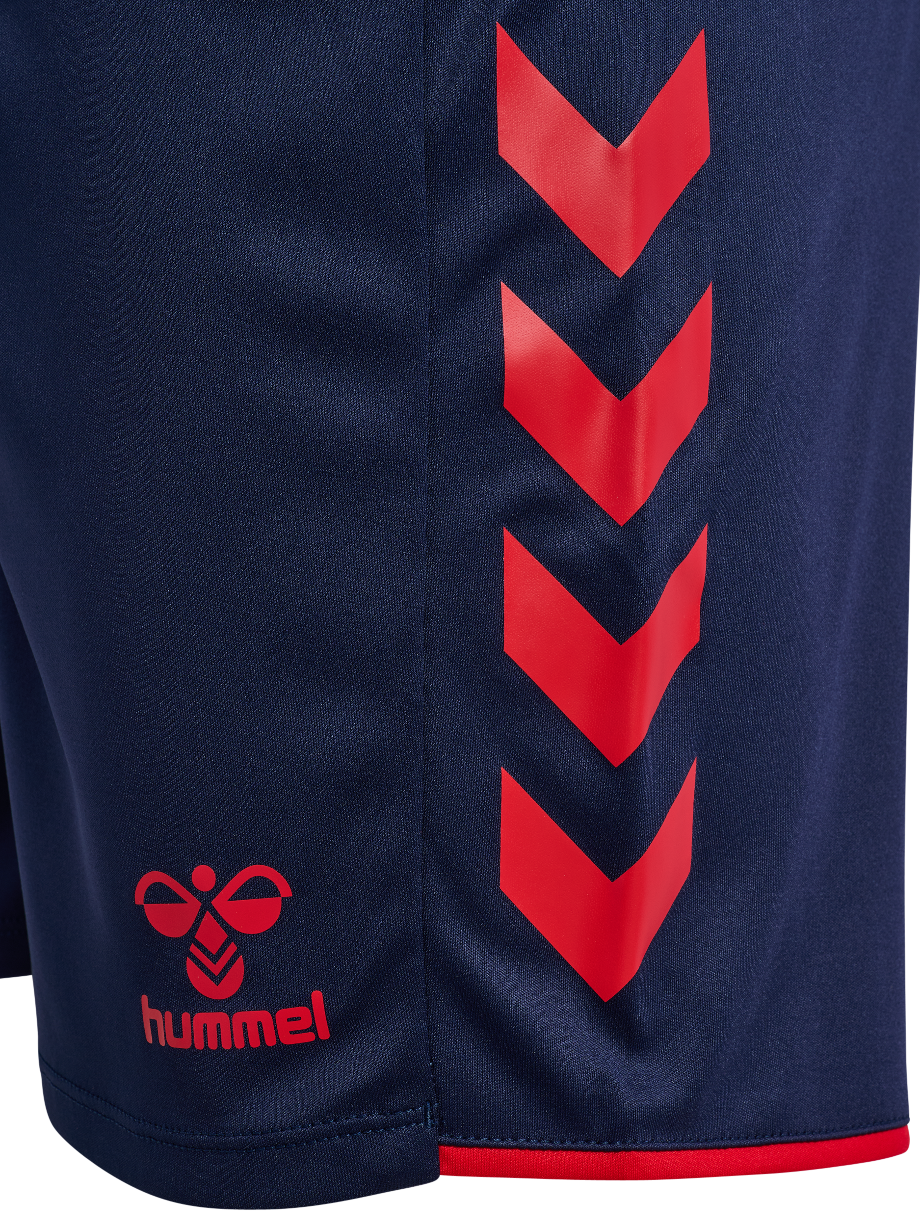 AOJ – Training & Game Shorts