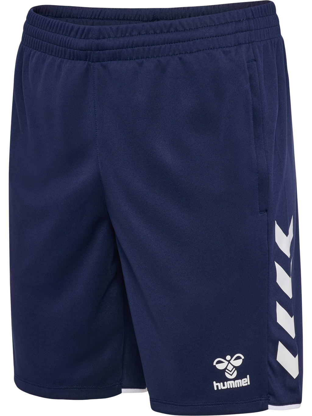 AOJ - Coach Training Shorts