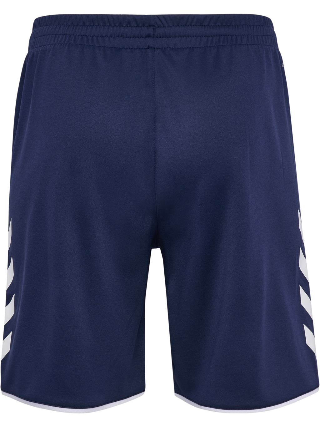 AOJ - Coach Training Shorts