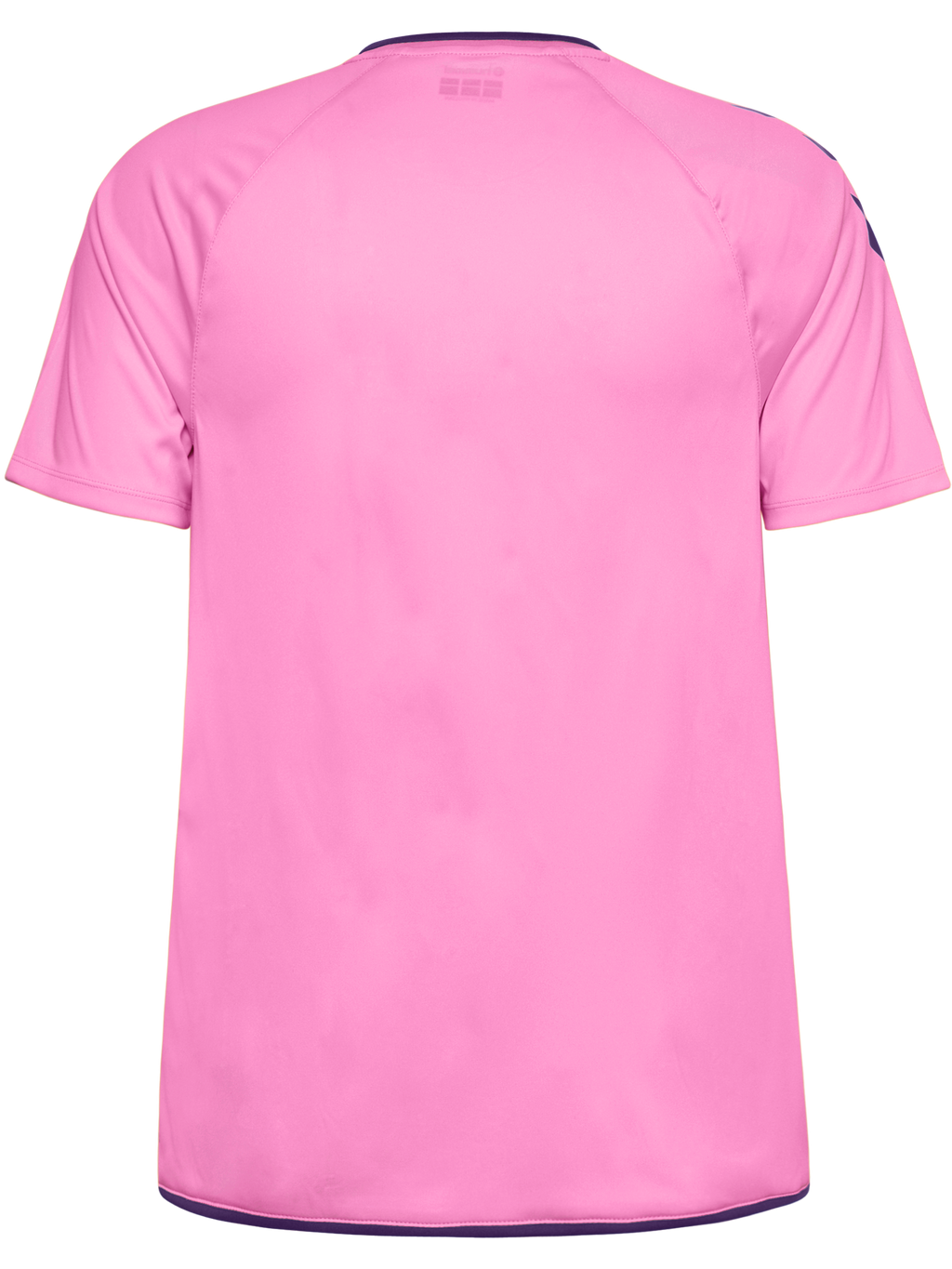 AOJ – Goalkeeper Short Sleeve Jersey (Pink/Purple)