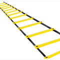 Training Ladders
